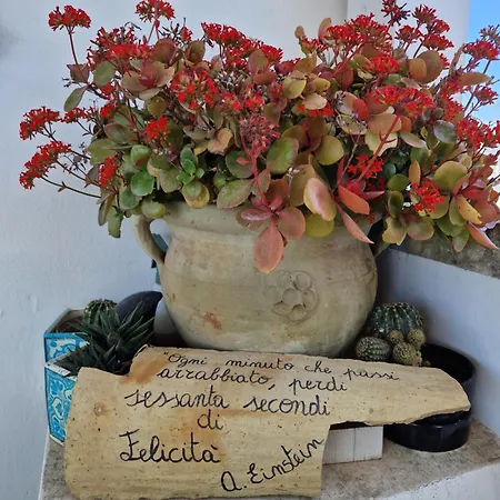 Lägenhet La Maison De Kika *